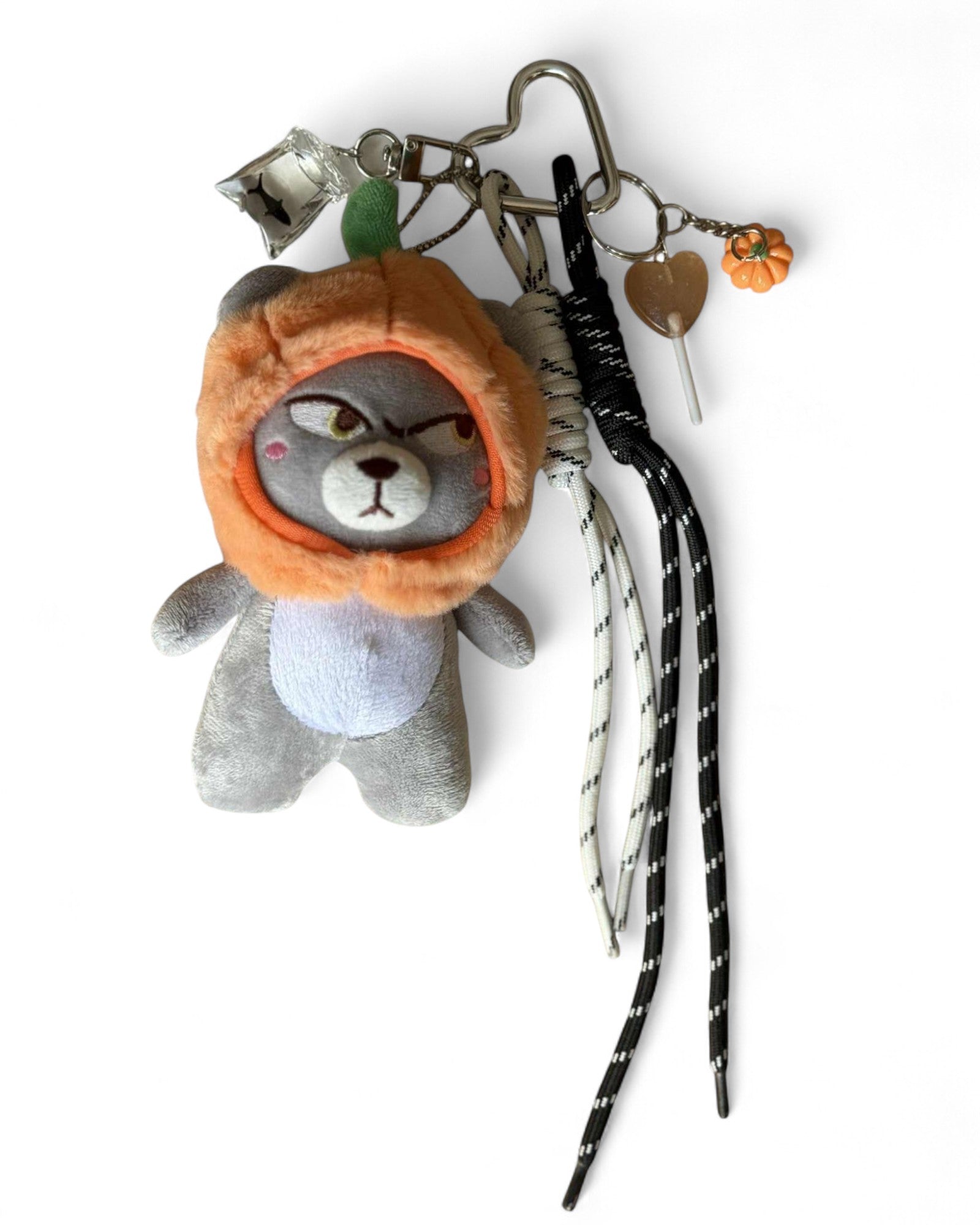 Grigri chat déguisé