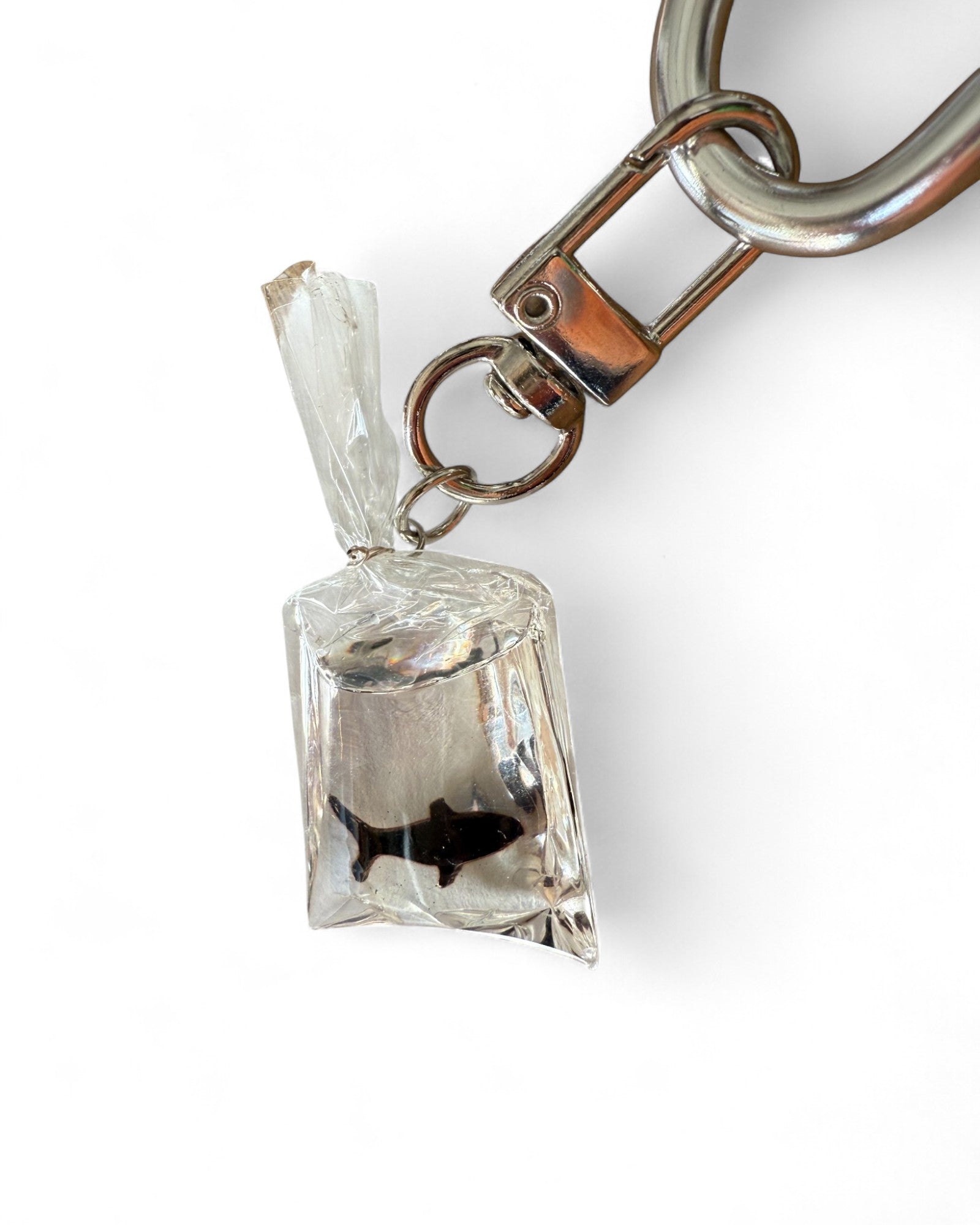 Grigri chat déguisé