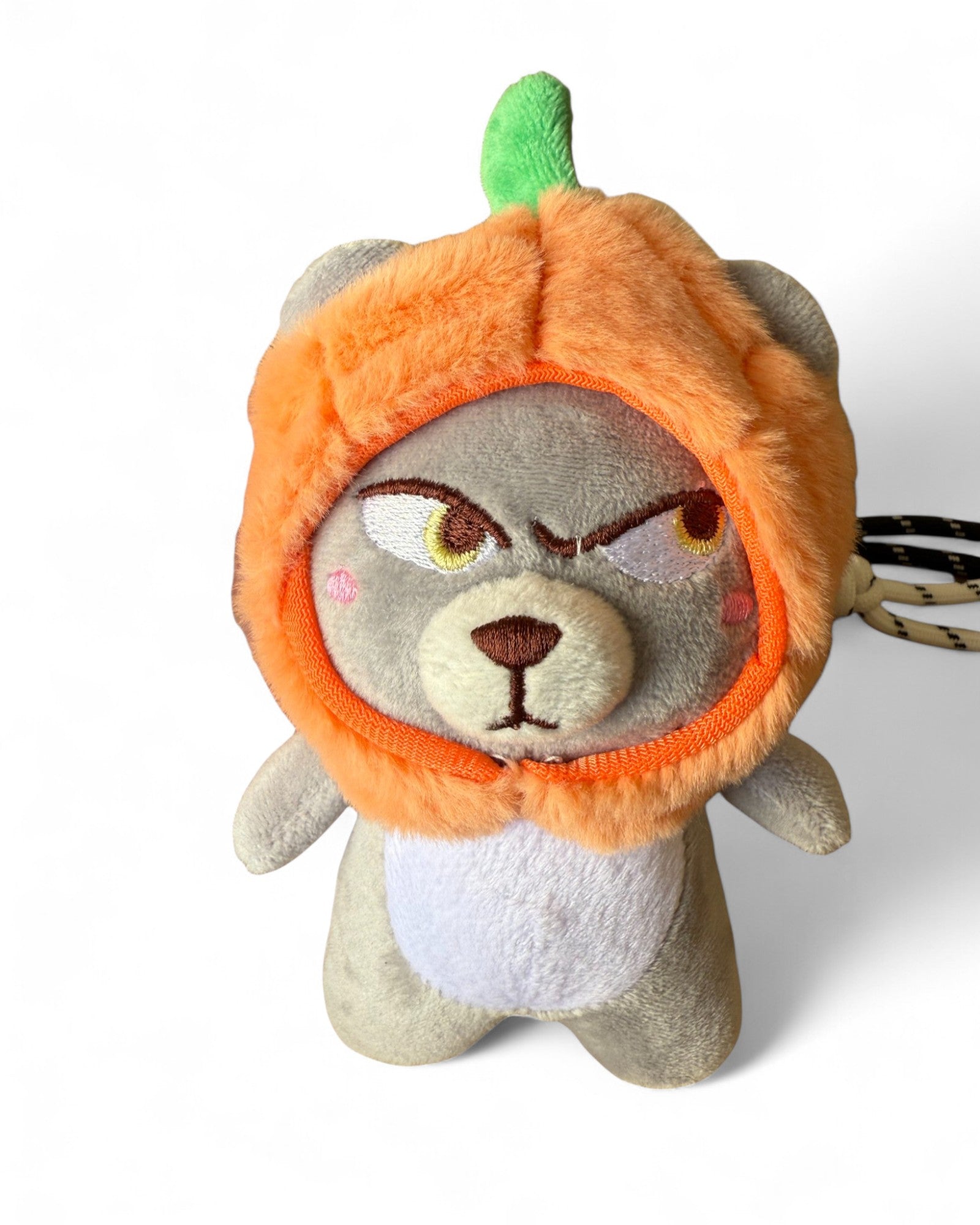 Grigri chat déguisé